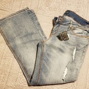 [Rock & Republic] Destroyed Bootcut Jeans 13 x 30